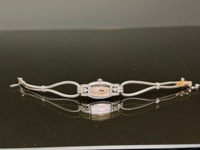 Ladies' watch in platinum and diamonds, white...