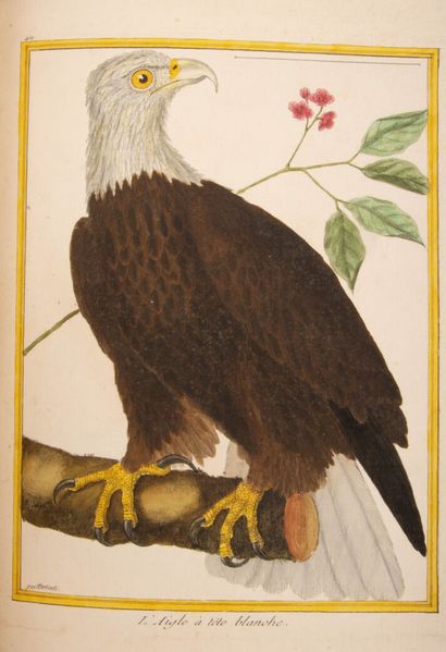 François Nicolas MARTINET (1725/31-1804)...