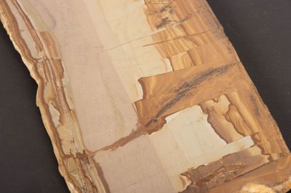 Paesine, ou pierre de Toscane
9.5 x 32.5...