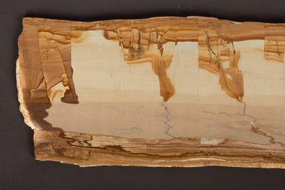 Paesine, ou pierre de Toscane
9.5 x 32.5...