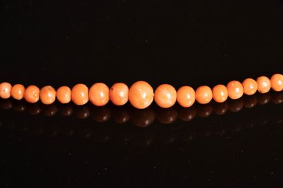 Collier de perles de corail
L: 39 cm
Chaine...