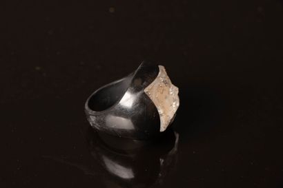 LALIQUE France
Bague en résine et bas-relief...