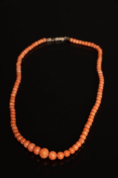 Collier de perles de corail
L: 39 cm
Chaine...
