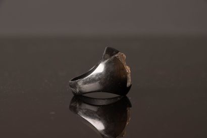 LALIQUE France
Bague en résine et bas-relief...
