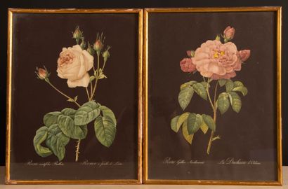 Paire de gravures en couleur milieu XX°
-...
