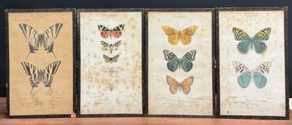 Neuf gravures couleurs de papillons. 
23...