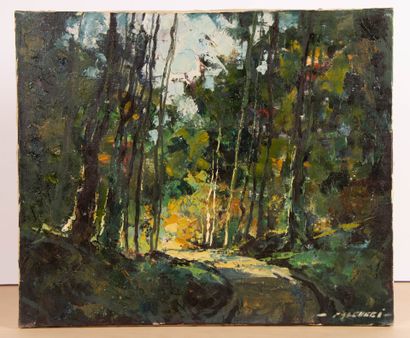 Robert FALCUCCI (1900-1989)
Forêt de Sougères
huile...
