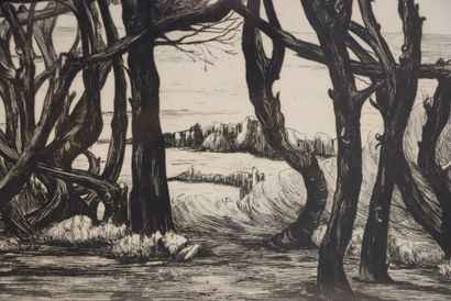 Arbres au bord de mer. 
Gravure encadrée....