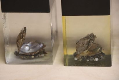 Collection de 5 briquets de table. 
H. :...