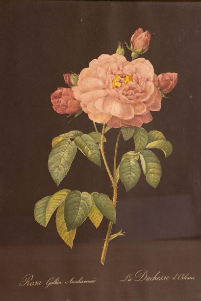 Paire de gravures en couleur milieu XX°
-...