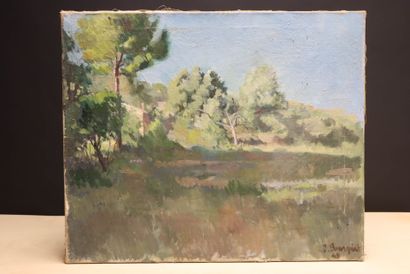 Jacques BOUSQUET (1907-1981)
Paysage
huile...