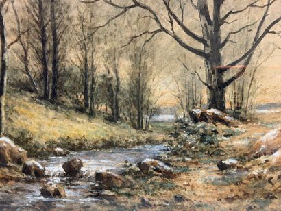 Fred ROHR (1824-1880). 
Paysage de foret....