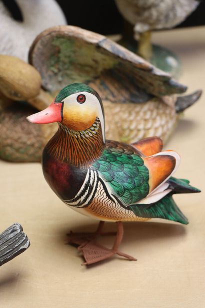 Collection de canards, oiseaux et grenouille...
