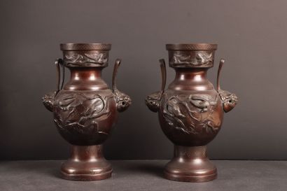 JAPON vers 1900 
Paire de vases en bronze...