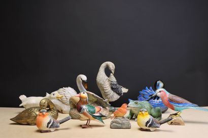 Collection de canards, oiseaux et grenouille...