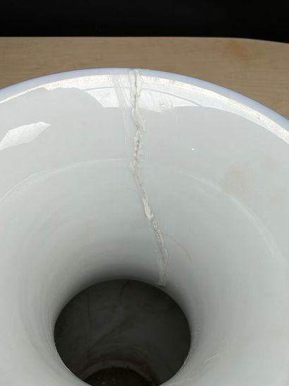 Paire de vases en porcelaine à décor de fleurs,...