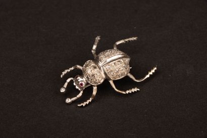 Beetle brooch in white gold with diamond...
