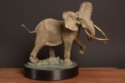 Danie DE JAGER (1936–2003) 
Shawu (1994)
Bronze...