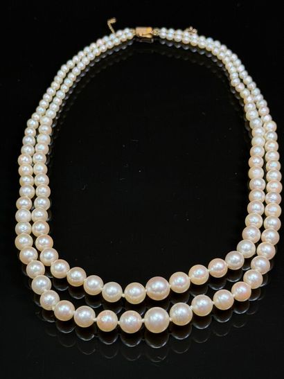 Necklace of cultured pearls, two rows, gold...