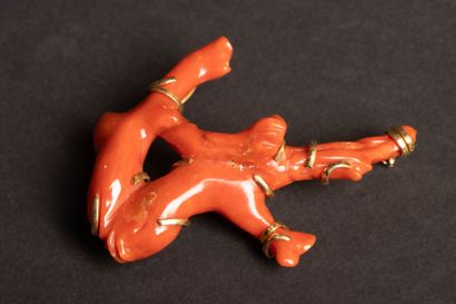 Gold brooch with a red coral branch.
750°/00...