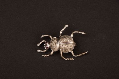 Beetle brooch in white gold with diamond...