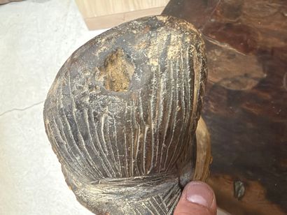GABON - Punu Culture.
A facial mask known...
