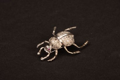 Beetle brooch in white gold with diamond...