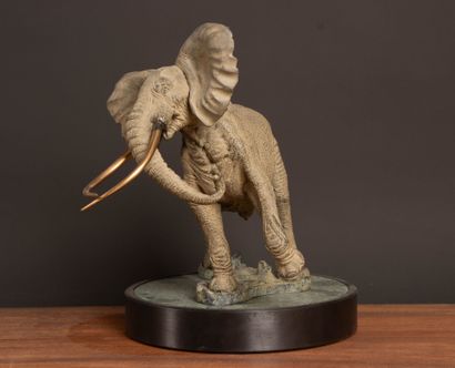Danie DE JAGER (1936–2003) 
Shawu (1994)
Bronze...