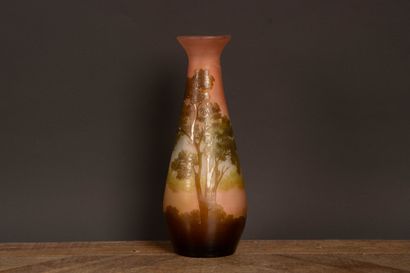 GALLÉ.
Multi-layered glass vase, acid-etched,...