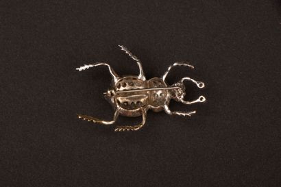 Beetle brooch in white gold with diamond...