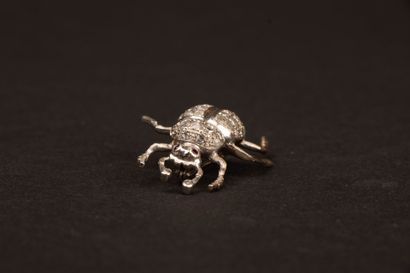 Beetle brooch in white gold with diamond...