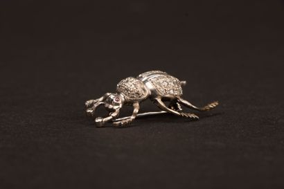 Beetle brooch in white gold with diamond...