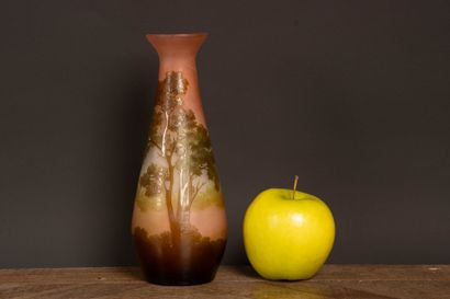 GALLÉ.
Multi-layered glass vase, acid-etched,...