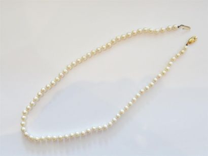 Collier de perles fermoir or. Poids :20 ...