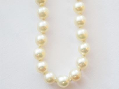 Collier de perles fermoir or. Poids :20 ...