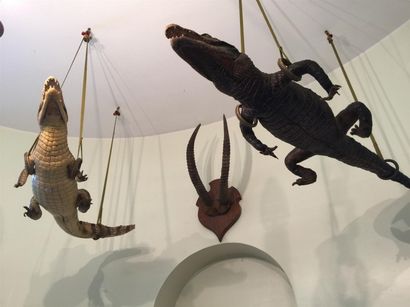 Deux aligators naturalisés

L_110 cm et 80...