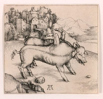 Albrecht DÜRER (Nuremberg 1471-1528)

Le...