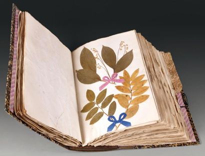 Herbier constitué de 150 planches reliées...
