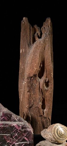 Block of petrified wood, on base.

Height:...