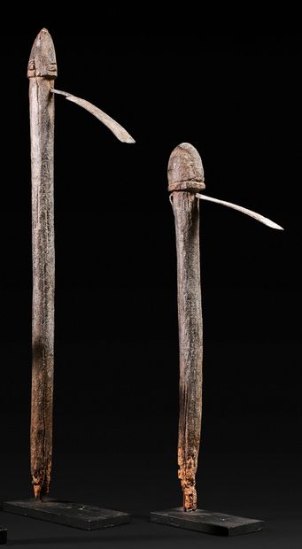 Set of two adzes whose blade seems to be...