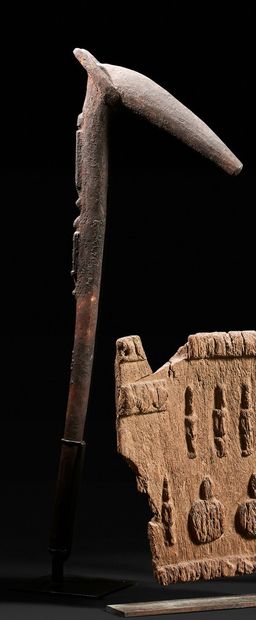 Stick known as of robber finished by an animal...