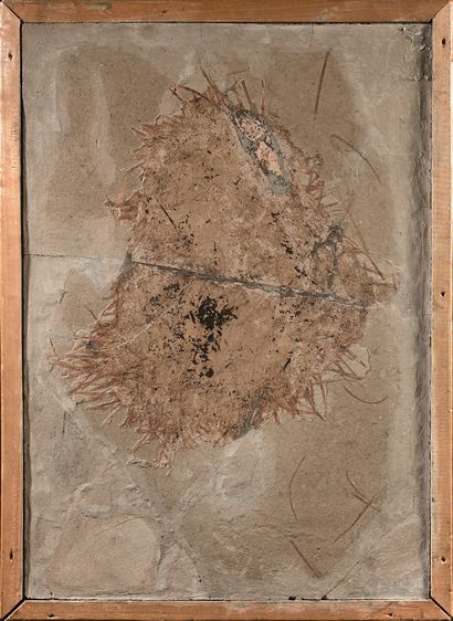 Beautiful limestone plaque with fossil. Framed.

Height....