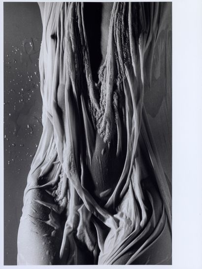SAM HASKINS (1929-2009)
PERSONAL PROJECT
Untitled,...