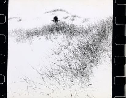 SAM HASKINS (1929-2009)
COWBOY KATE 
Cowboy...