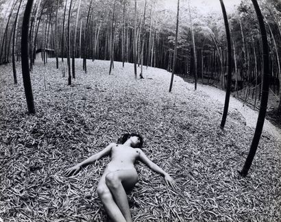 SAM HASKINS (1929-2009)
PERSONAL PROJECT
Japan...