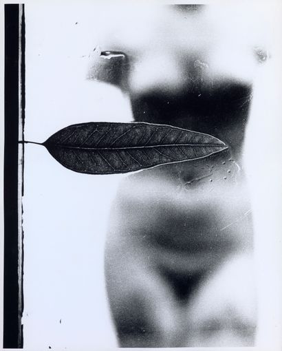 SAM HASKINS (1929-2009)
NOVEMBER GIRL 
November...