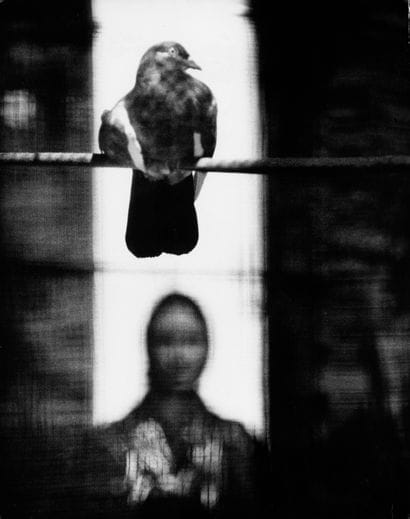 SAM HASKINS (1929-2009)
NOVEMBER GIRL 
November...