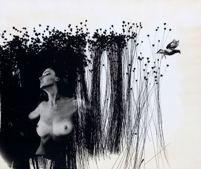 SAM HASKINS (1929-2009)
NOVEMBER GIRL 
November...