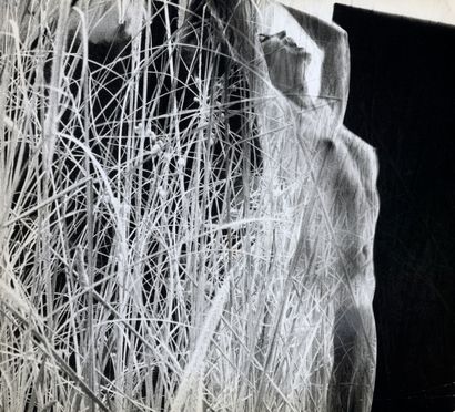 SAM HASKINS (1929-2009)
NOVEMBER GIRL 
November...