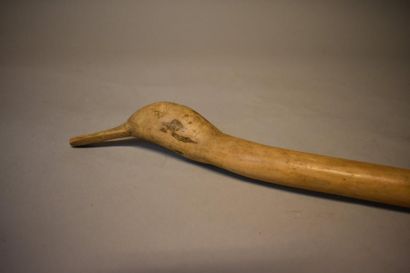 Canne sculptée d'une tête d'oiseau. XIXe-XXe...